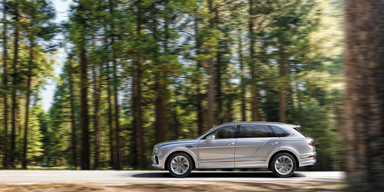 JCT600 Service Teeside Bentley Bentayga Extended Wheelbase SUV in Moonbeam paint driving dynamically on a forest road